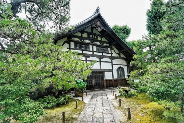 九州之旅从福冈开始！这里不只有拉面，还有精彩的山笠祭！