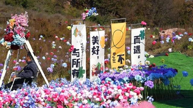 藏在石家庄的“莫奈花园”——花海、秋千、网红打卡点全都有！