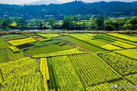 如何记住六十甲子和天干地支对应的五行属性图片