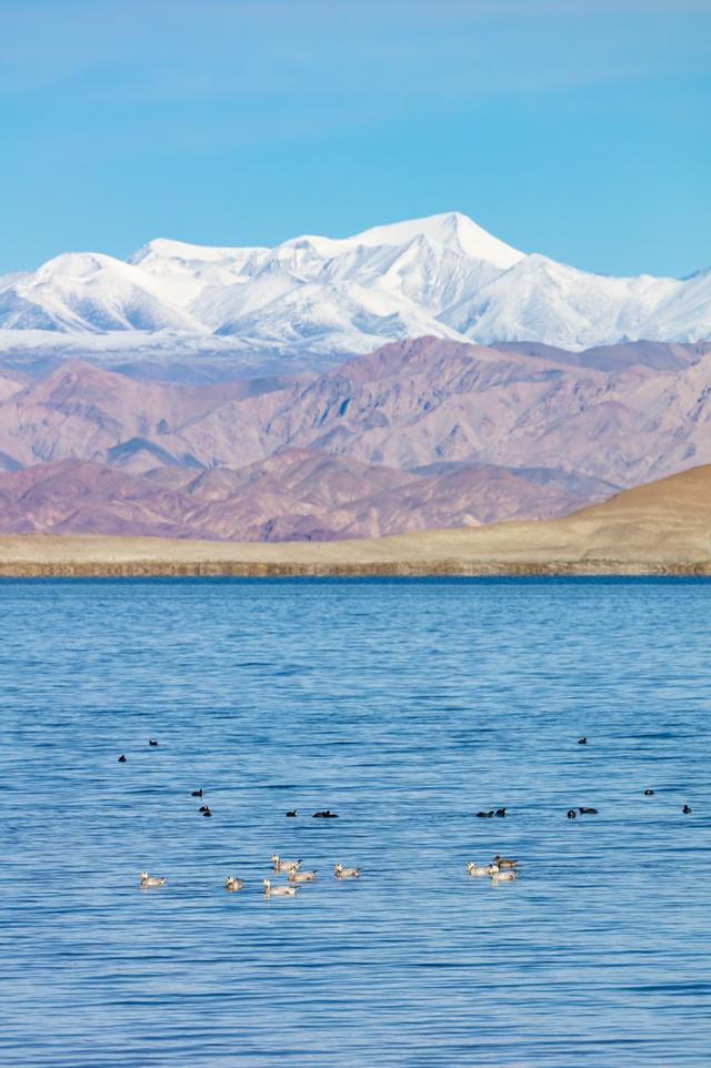 1条国道，全长10065公里，万千极致景观！50+自驾达人的终极梦想