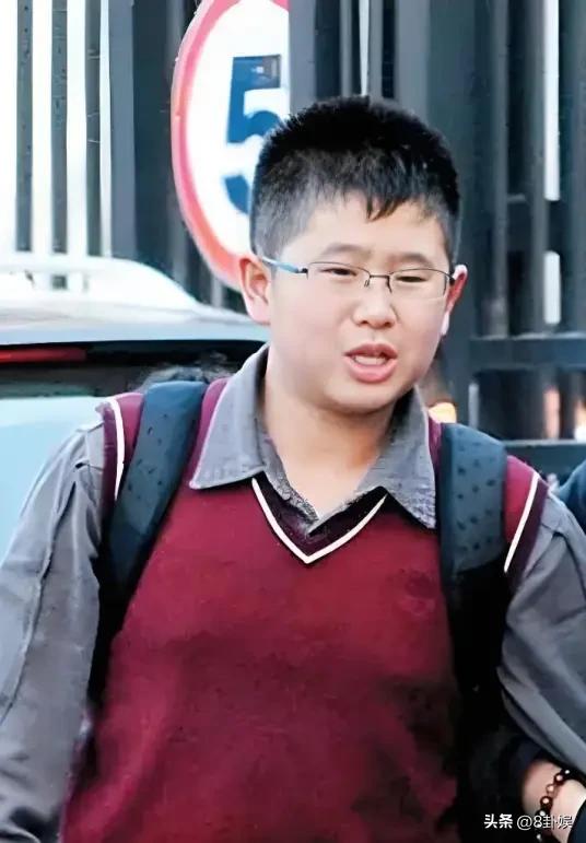 钱再多有什么用！66岁身家过亿的倪萍，还是要为儿子婚恋操碎了心