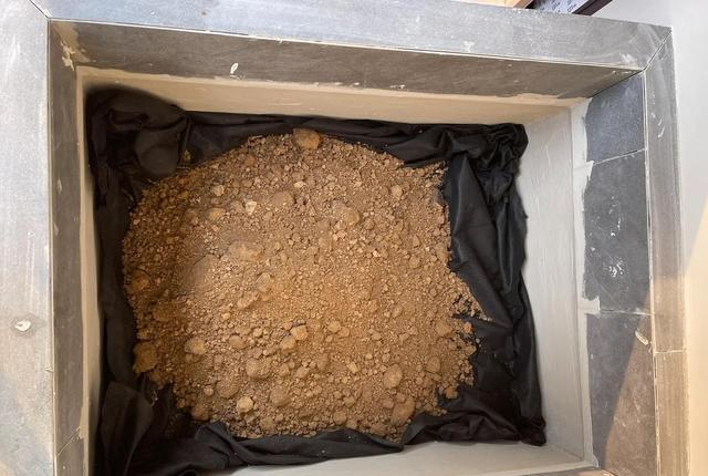 河北一34岁美女	，阳台种树，因“太大胆	”而走红，一般人做不到！