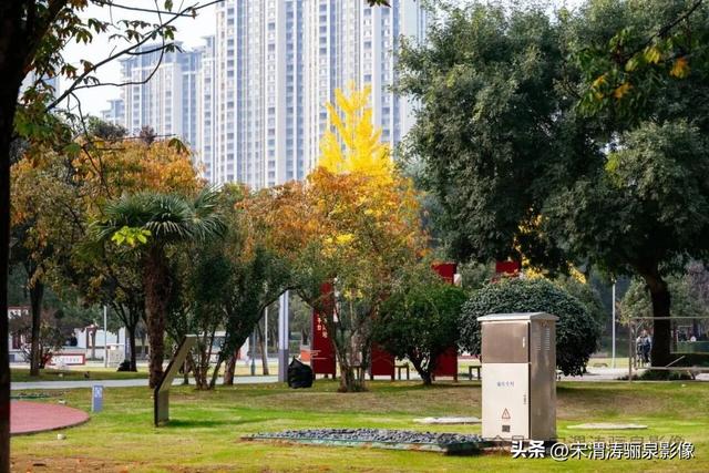 陕西渭南：天晴了 高新区时代广场秋色盎然