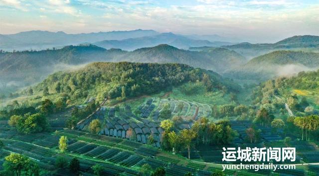 38.9万游客打卡！夏县泗交缘何成为今夏“顶流”避暑地？