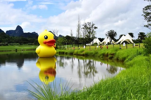 桂林:小黄鸭飞进桂海晴岚!