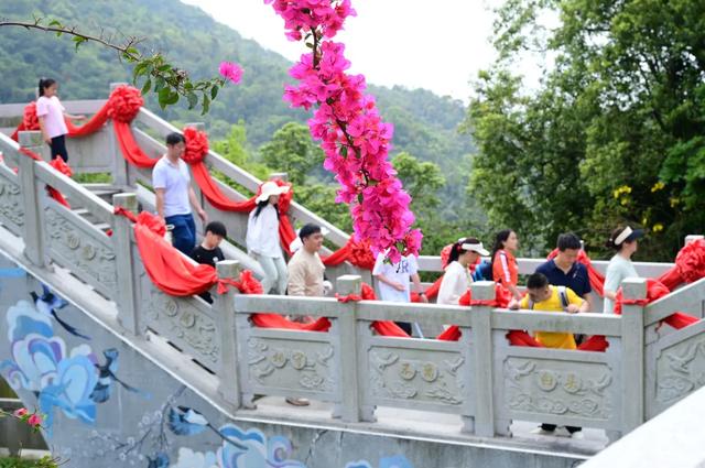 东莞观音山4月15日首日实况直击!欢迎东莞人民🤩共赏春光!