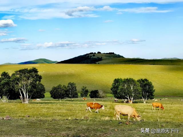 我走过的草原天路，应了谑语“后浪推前浪，后浪拍在沙滩上”