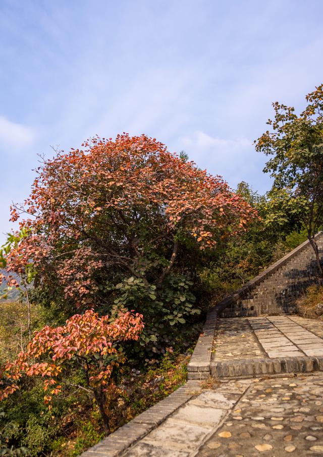 京郊游之红螺寺