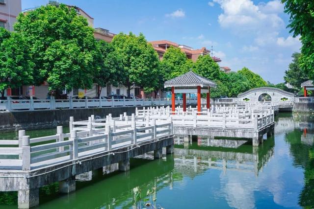 不必远赴苏杭！佛山“小周庄”打卡指南，地铁直达享岭南水乡诗意