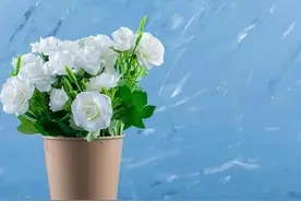 遇到看不起你的人，不要讨好，不要顺从，记住这三句话，你就赢了图片