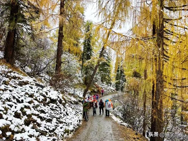 甲依拉措 ：一场白雪与彩林的盛宴