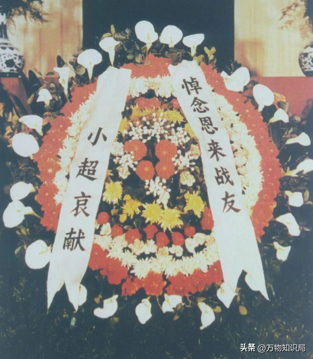 老照片：周总理当众跳起来，为邓大姐摘苹果，浪漫温馨少年气十足