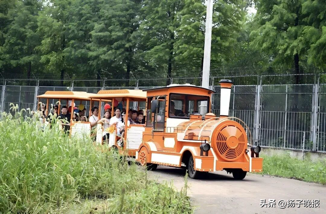 泰州动物园官宣：全球免票