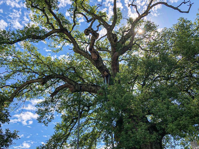 GO!皖南最舒服的温度，就该去新安江山水画廊乘船入画！