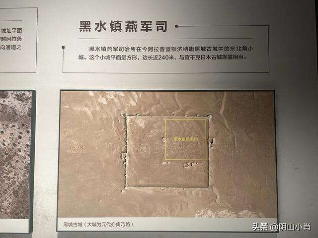 参观内蒙古博物院新馆
