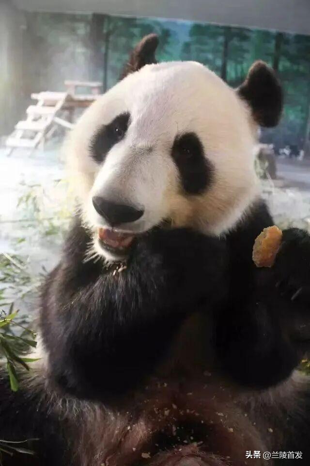 好客山东好品山东｜临沂遛娃去哪儿？初冬攻略收藏就出发～