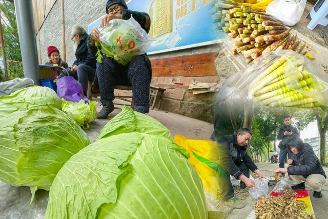 周末邛崃游记：藏在古镇里的烟火与温情