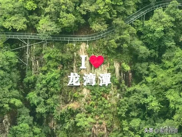 温州这个亲子游玩胜地、植物自然课堂孩子玩嗨家长不累