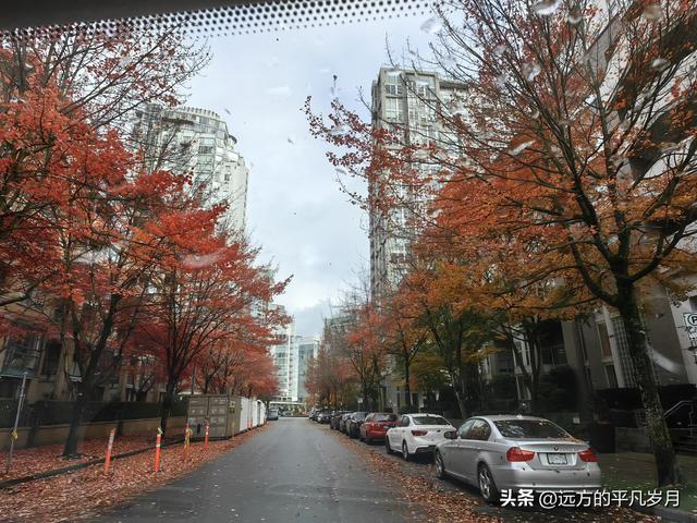 温哥华游记（六）