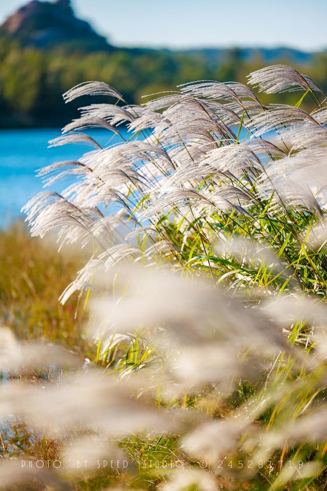 秋日邂逅，开启浪漫诗意之旅