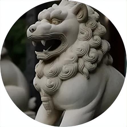 80载守望终见繁花满街，卢沟桥小狮子惊艳亮相长安街沿线主题花坛！