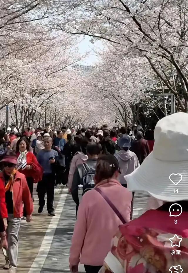 无锡这座大公园，即将爆火！