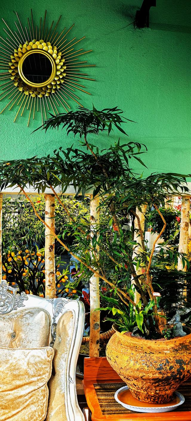 藏在秦岭花世界里的「森系秘境花店——花缘集」，来了就不想走！