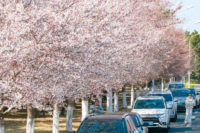 @全体跑友+随行人员：这份荣成“旅游专属福利”请收好！