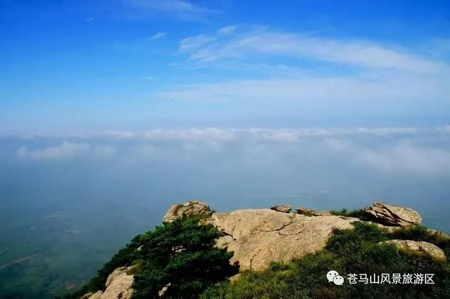 好客临沂放大招！“天赋一‘饼’”争霸赛主场开秀，景区+酒店优惠多到爆，等你来嗨！