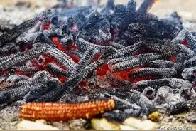 1万元乡村创富计划系列48：玉米芯——从田间垃圾到日韩"香饽饽"图片