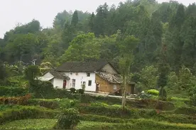 地主富农的后代真的都还是富人吗？“基因”“家风”说法可靠吗？图片