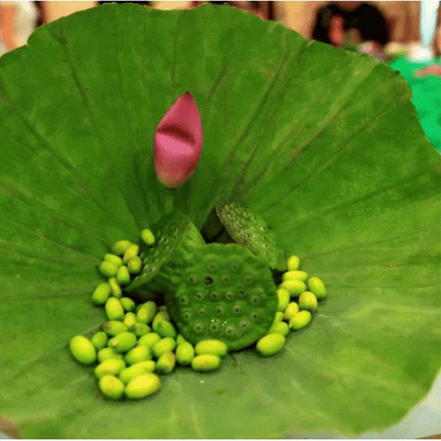 中医药、温泉、养生阿胶，济南的“康养密码”在这里！