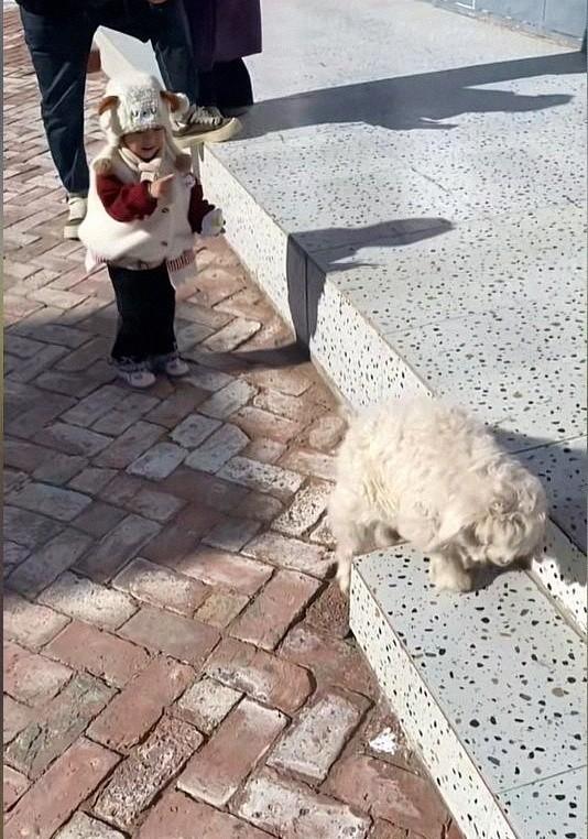 宁夏装死小羊晕倒原因解密	，孩子衣服成关键线索，真相太心酸