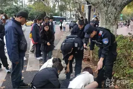 打卡“火爆”的梧桐大道 这些安全细节要注意图片