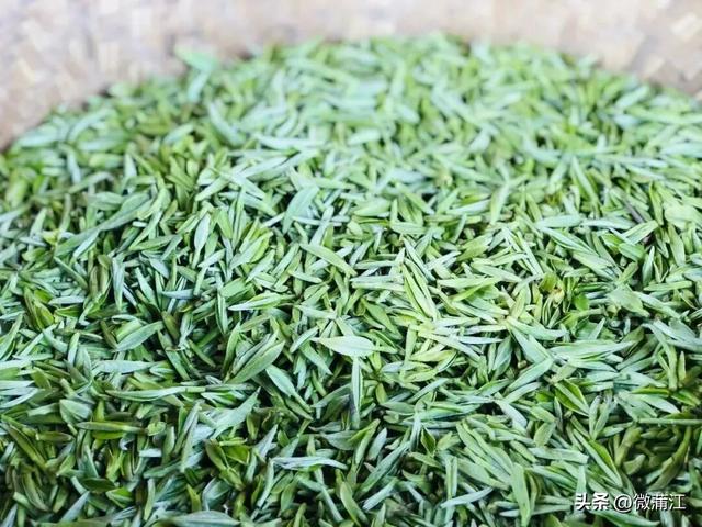 “骑”遇惊喜，快来成都蒲江“醉氧”绿道，开启你的追风之旅！