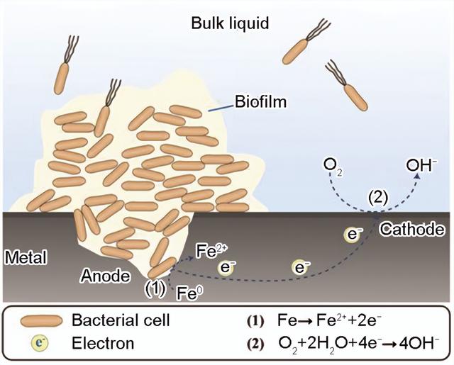 NASA最新火星探测，发现生命潜在证据！火星上真有生命？