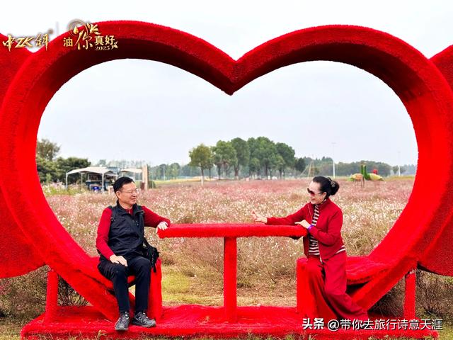 南京高淳固城湖水慢城风光