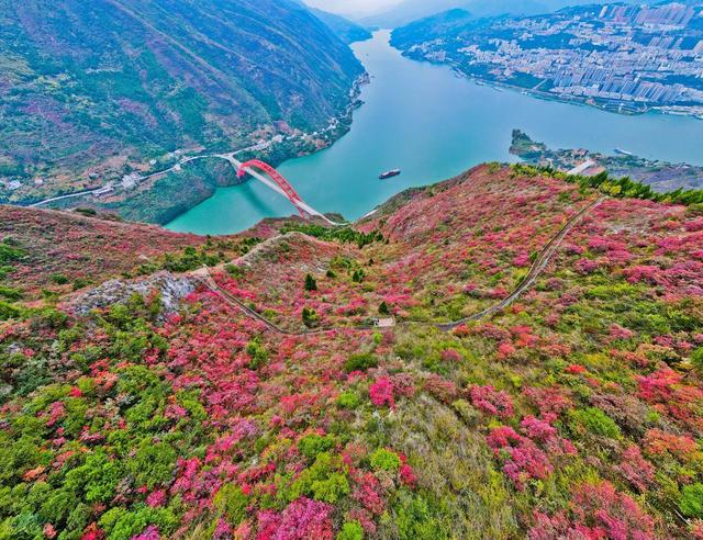 彩林观赏季，赏秋绝佳时，10月-12月适合去看的7处彩色山林