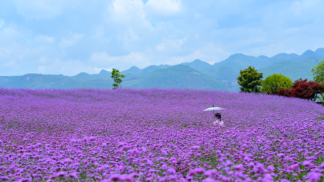 弥勒融媒第三期研学来啦！名额开抢→