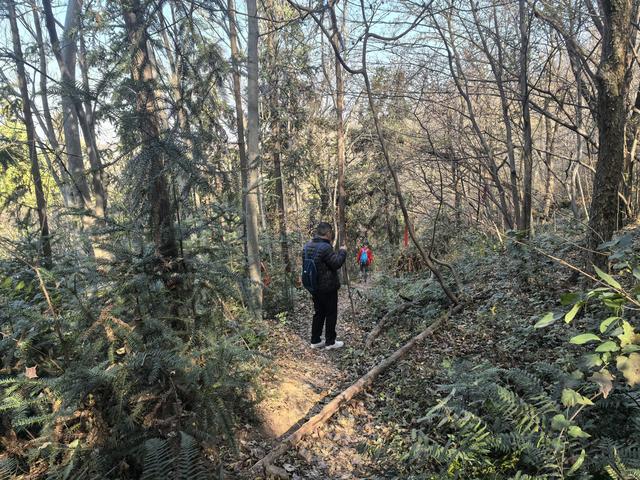南京老山郊野一日徒步，从狮子岭兜率寺到汤泉惠济寺