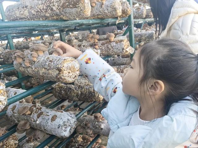 刚刚传来，颍东竟有这么多宝藏地？！今天，好多阜阳人都去了！直击现场......