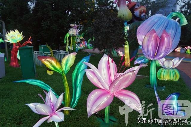 北京石景山游乐园京彩灯会即将举行