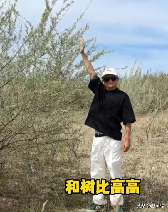 马云现身蚂蚁森林，大口吃西瓜，现场杂草丛生，跟2016年对比明显