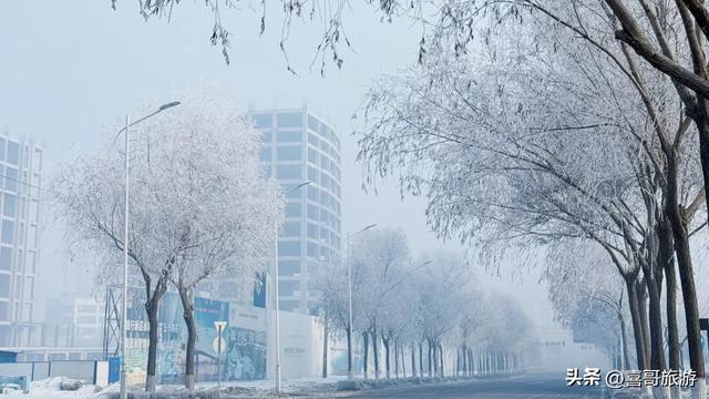 冰雪奇缘：哈尔滨雾凇仙境漫游指南