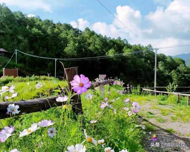 自在嵩明丨层峦碧水、林间野趣、美食垂钓……近郊旅行就来杨桥西山大村子