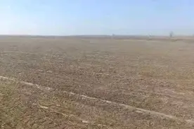 千亿央企下乡种地：万亩良田能否丰收？图片