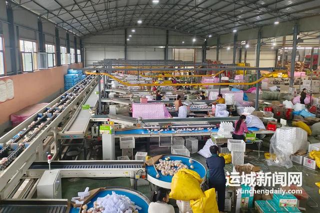 临猗苹果的电商“破圈”之路