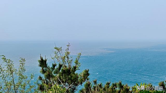 我的228 旅行日记 3——D3-11 我的大连9日 （下篇）