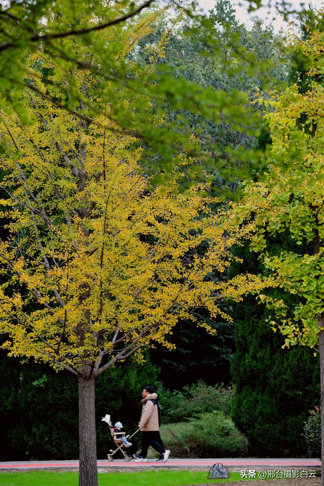达活泉，这才是秋天该有的样子（图）