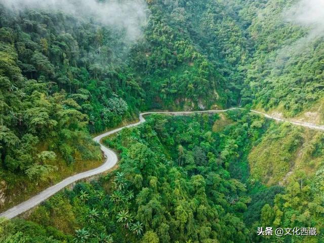 甲子西藏·文旅新章 | 十年蝶变，墨脱绽放旅游富民新画卷